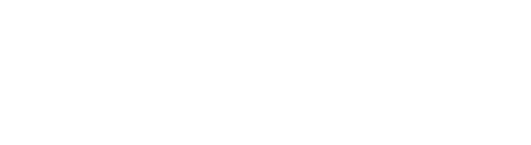 Saloon Logo